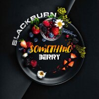 Black Burn "Something Berry" (Ягодный микс) 100 гр. по цене 1 100 руб. 
