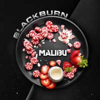 Black Burn "Malibu" (Леденцы Малибу) 25гр по цене 320 руб. 