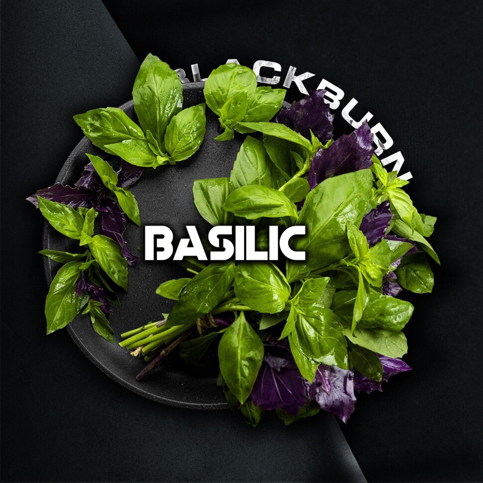 Black Burn "Basilic" (Базилик) 25гр. по цене 320 руб. 