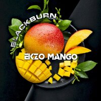 Black Burn "Ekzo Mango" (Сочное манго) 100 гр. по цене 1 100 руб. 