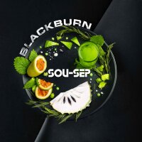 BlackBurn "SouSep" (Сметанное Яблоко с Тархуном) 100гр. по цене 1 100 руб. 